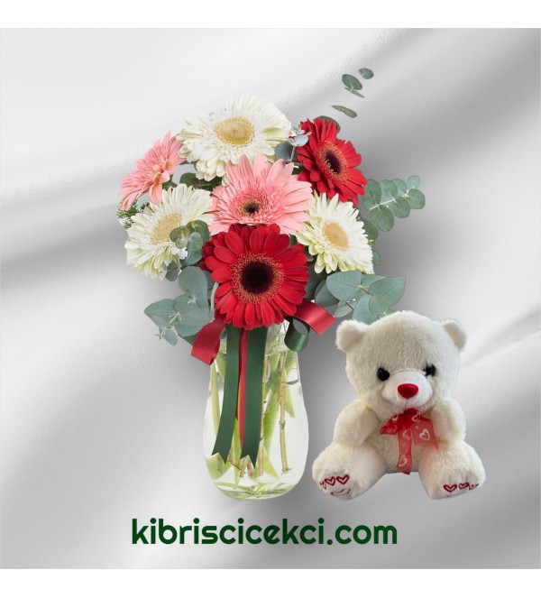 Vazoda Gerbera Ayıcık Vazoda Gerbera Ayıcık
